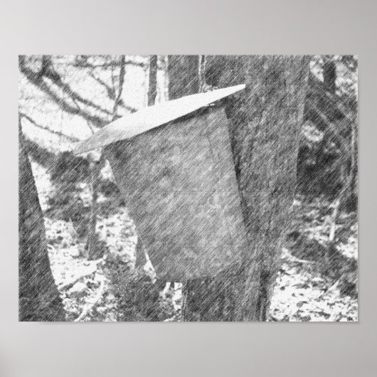 Maple Sap Bucket On Tree Black Pencil Art ポスター (正面)