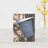 Maple Syrup Sap Bucket On Tree Nature Note カード (黄色い花)