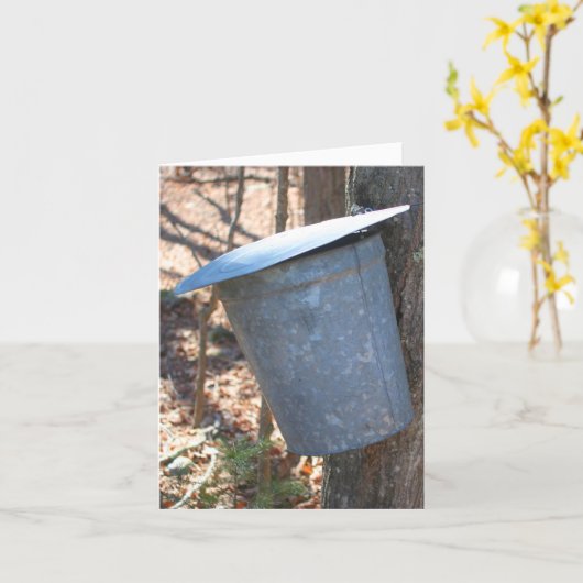 Maple Syrup Sap Bucket On Tree Nature Note カード (黄色い花)
