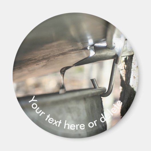 Maple Syrup Sap Running Nature Personalized マグネット (正面)