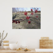 Maple Tree Buds ポスター (キッチン)