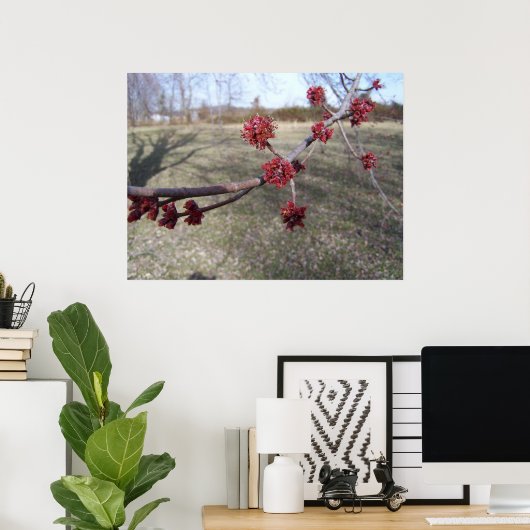 Maple Tree Buds ポスター (ホームオフィス)