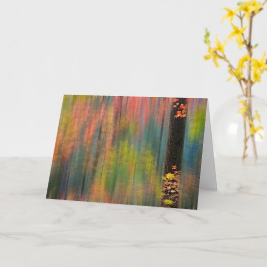 Maple Trees | Silver Falls State Park カード (黄色い花)