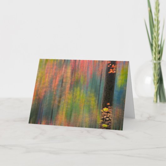 Maple Trees | Silver Falls State Park カード (正面)