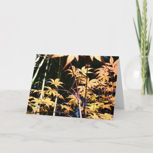 Maples 5花の写真HGC カード (正面)