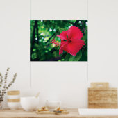 Mar Pacifico Flower 28" x 20"ポスター ポスター (キッチン)