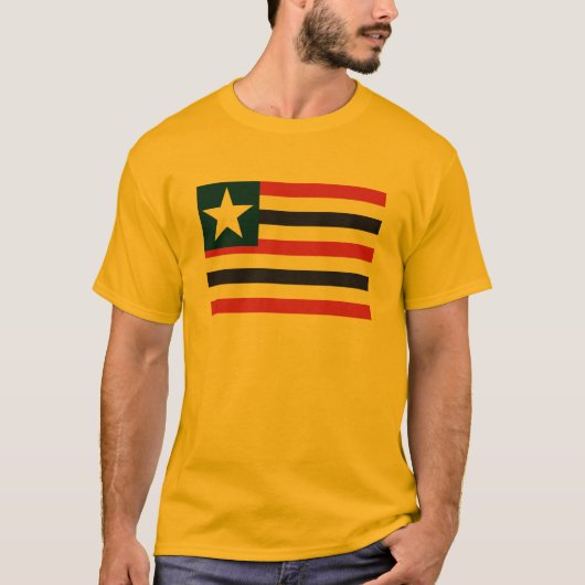 Maranhaoの旗のTシャツ Tシャツ (正面)