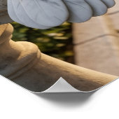 Marble Dove Peace Garden ポスター (角)