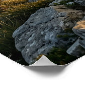 Marble Ram Mountain Pride ポスター (角)