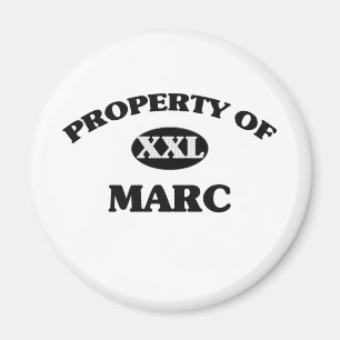 MARCの特性 マグネット