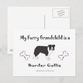march112015BorderCollie.jpg ポストカード (正面/裏面)