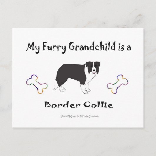 march112015BorderCollie.jpg ポストカード (正面)