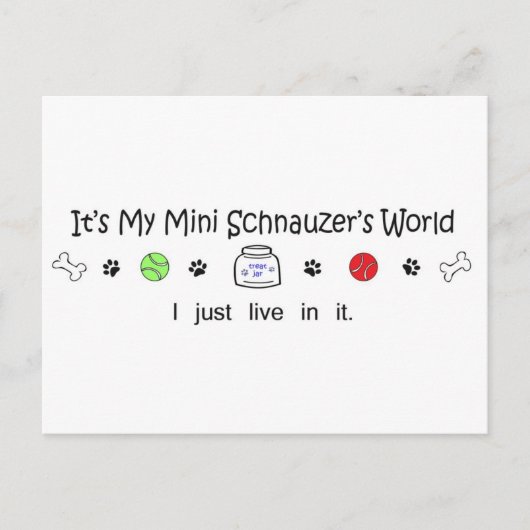 march15b15MiniSchnauzer.jpg ポストカード (正面)