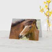Mare And Colt カード (黄色い花)