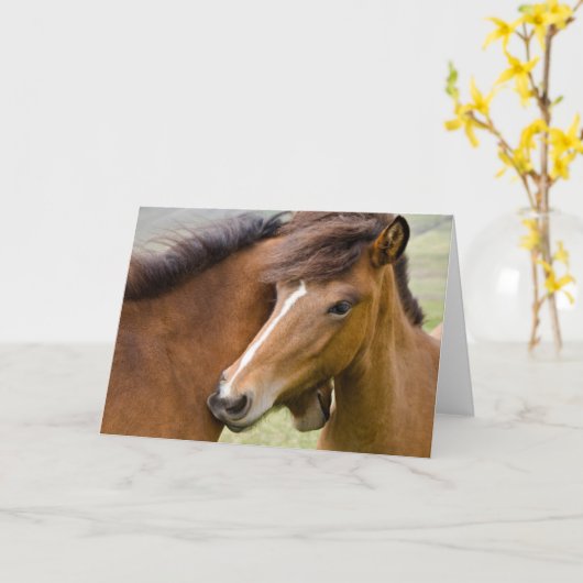 Mare And Colt カード (黄色い花)