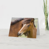 Mare And Colt カード (正面)