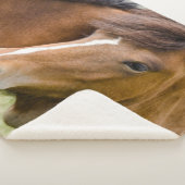 Mare And Colt シェルパブランケット (3/4)