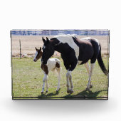 Mare and Filly Walking フォトブロック (正面)