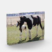 Mare and Filly Walking フォトブロック (左)