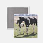 Mare and Filly Walking マグネット (正面/裏面)