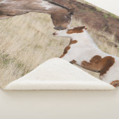 Mare with Colt シェルパブランケット (3/4)