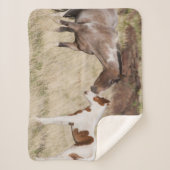 Mare with Colt シェルパブランケット (正面)