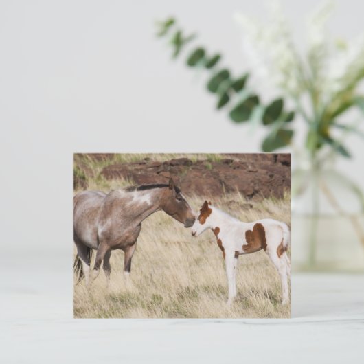 Mare with Colt ポストカード (スタンド正面)