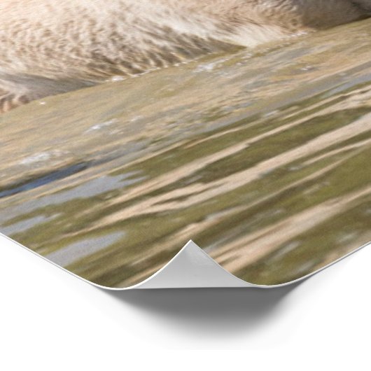 Mare with Foal Crossing a River ポスター (角)