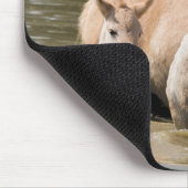 Mare with Foal Crossing a River マウスパッド (コーナー)