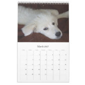 Maremmaの牧羊犬のカレンダー カレンダー (3月 2027)
