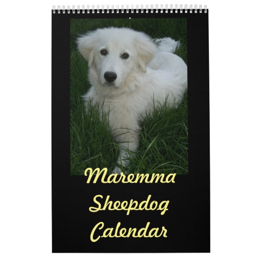 Maremmaの牧羊犬のカレンダー カレンダー (カバー)
