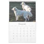 Maremmaの牧羊犬のカレンダー カレンダー (2月 2027)
