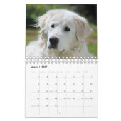 Maremma sheepdog 2022 SmallCalendar,白 カレンダー (3月 2027)