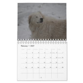 Maremma sheepdog 2022 SmallCalendar,白 カレンダー (2月 2027)