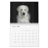 Maremma sheepdog 2022 SmallCalendar，白 カレンダー (1月 2026)