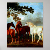 Mares in a River Landscape by George Stubs ポスター (正面)