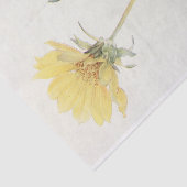 Margaret Armstrongによる切り葉バルサムルート 薄葉紙 (詳細)