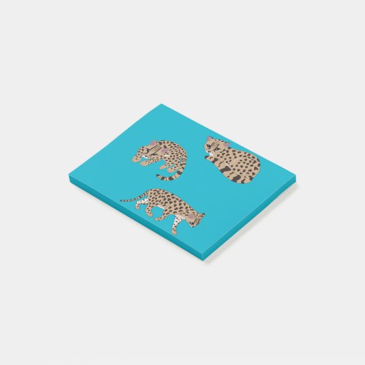 Margays ポストイット (アングル)