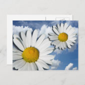 Marguerite Blossom +あなたのテキストとアイディア ポストカード (正面/裏面)