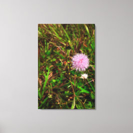 Maria-fecha-a-porta キャンバスプリント