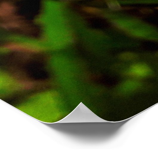 Maria-fecha-a-porta ポスター (角)