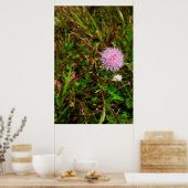 Maria-fecha-a-porta ポスター (キッチン)