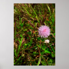 Maria-fecha-a-porta ポスター