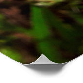 Maria-fecha-a-porta 1 ポスター (角)