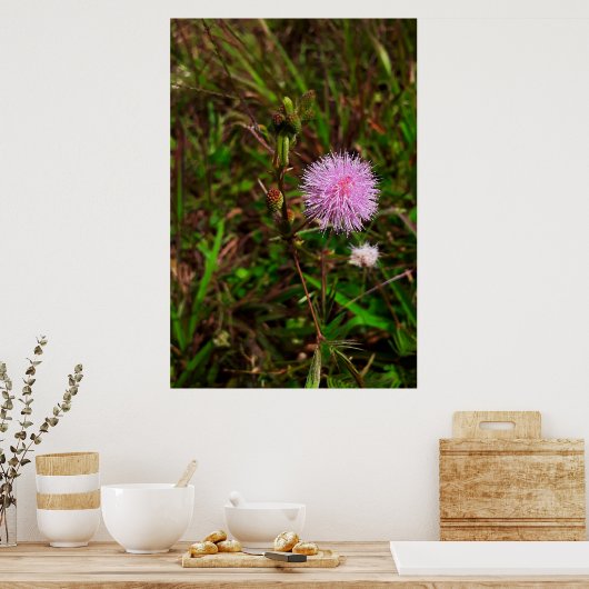 Maria-fecha-a-porta 1 ポスター (キッチン)