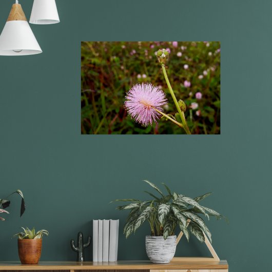 Maria-fecha-a-porta 2 ポスター (リビング1)