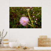 Maria-fecha-a-porta 2 ポスター (キッチン)