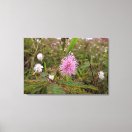 Maria fecha a porta  - Campo キャンバスプリント