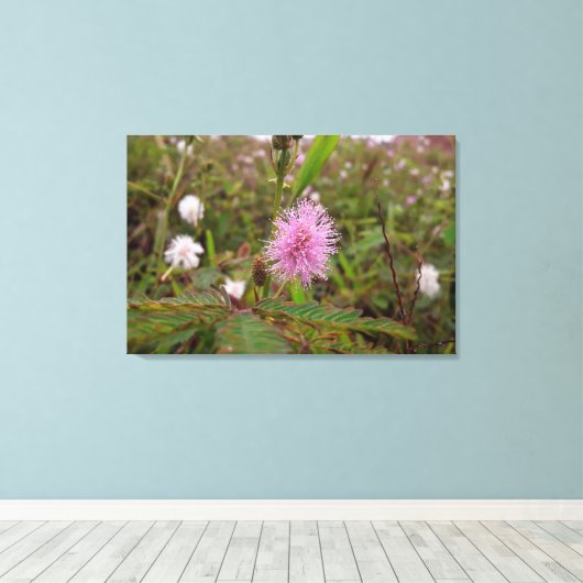 Maria fecha a porta  - Campo キャンバスプリント (インサイチュ (ウッドフロア))