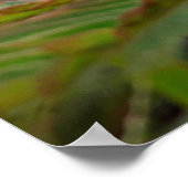 Maria fecha a porta  - Campo ポスター (角)